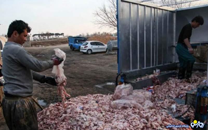 پشت پرده جمع آوری ضایعات مرغ در سطح شهر/ضایعات مرغ چه می‌شود؟