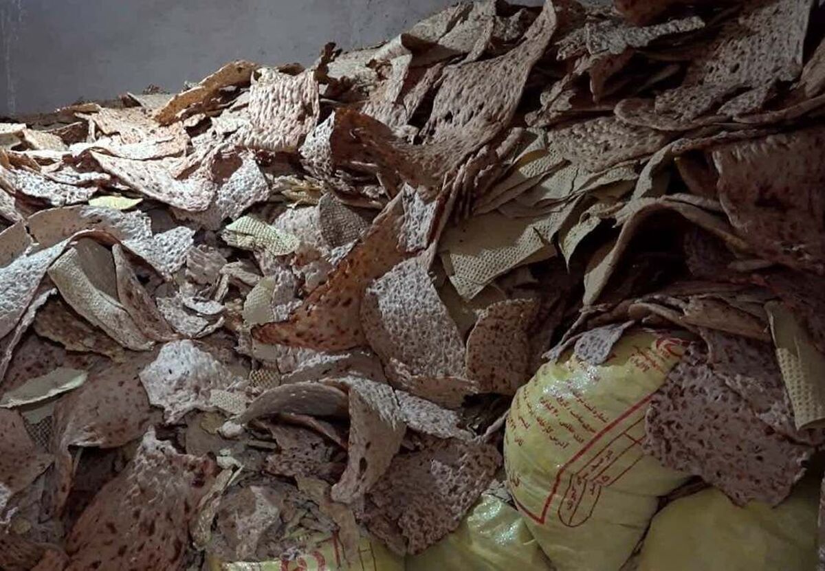 نان، ارز، بازار سیاه/ قیمتگذاری دستوری چگونه روزگار بازارها را سیاه کرد؟ نان، ارز، بازار سیاه/ قیمتگذاری دستوری چگونه روزگار بازارها را سیاه کرد؟